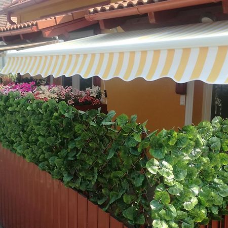 Apartament Keri Vendeghaz Mosonmagyaróvár Zewnętrze zdjęcie